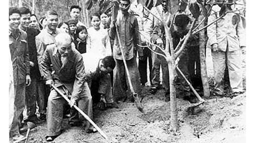 Nhớ tấm gương Người trồng cây