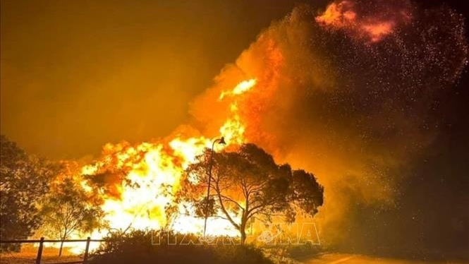 Australia với nguy cơ cháy rừng diện rộng trong đợt nắng nóng kỷ lục
