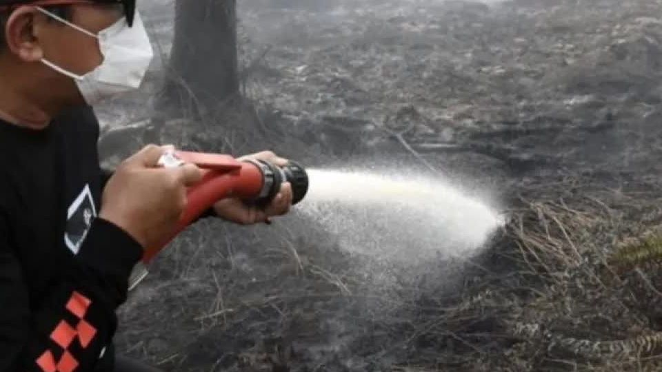 Indonesia tăng 'điểm nóng' cháy rừng, thiệt hại môi trường nghiêm trọng