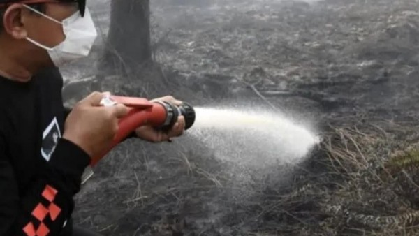 Indonesia tăng 'điểm nóng' cháy rừng, thiệt hại môi trường nghiêm trọng