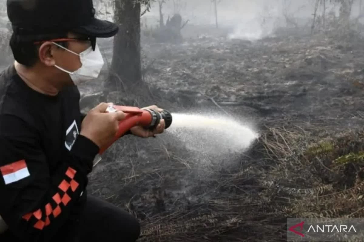 Indonesia tăng điểm nóng cháy rừng, thiệt hại môi trường nghiêm trọng Indonesia tăng điểm nóng cháy rừng, thiệt hại môi trường nghiêm trọng