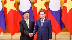 Chủ tịch Quốc hội Trần Thanh Mẫn hội kiến Tổng Bí thư, Chủ tịch nước Lào