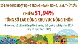 Số lao động ngành nông, lâm, thủy sản chiếm hơn 51% tổng số lao động khu vực nông thôn
