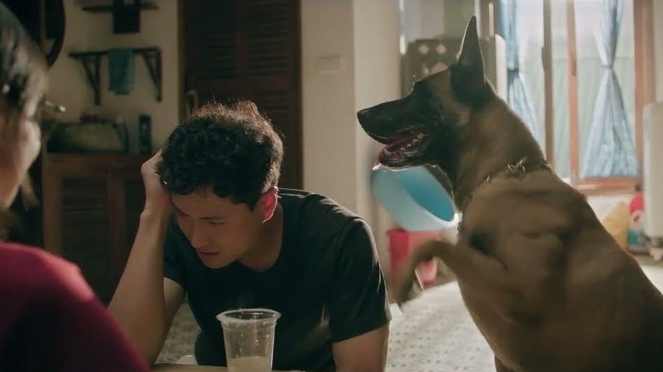 Đồng hồ đếm ngược tập 1: Thành có tin vui...