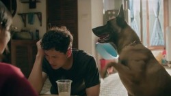 Đồng hồ đếm ngược tập 1: Thành có tin vui...