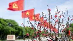 Xuân về theo cờ Đảng