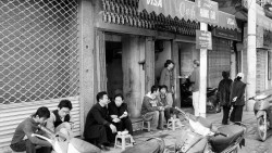 Cà phê - biết, cảm và nghĩ