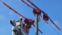 Lịch cúp điện Thành phố Huế hôm nay ngày 1/2/2026