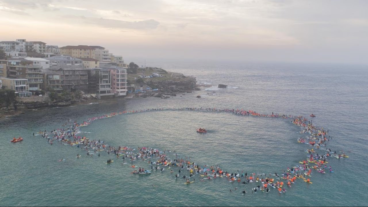 Cộng đồng lướt sóng Australia tưởng niệm cậu bé thiệt mạng do cá mập tấn công