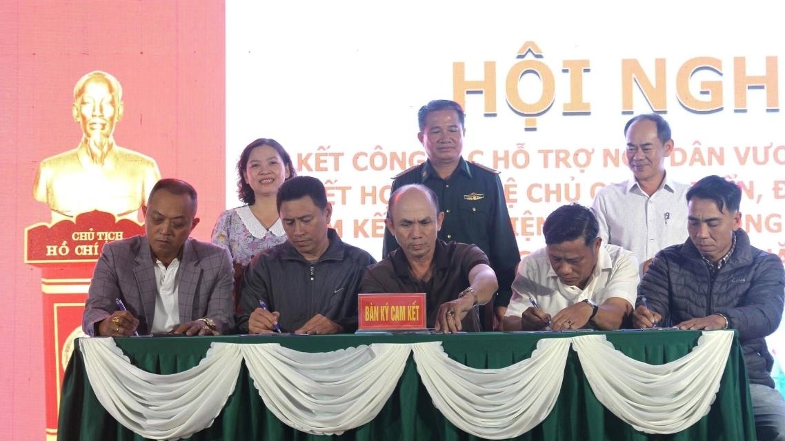 Đà Nẵng: Gần 500 tàu cá ký cam kết chống khai thác IUU