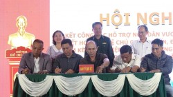 Đà Nẵng: Gần 500 tàu cá ký cam kết chống khai thác IUU