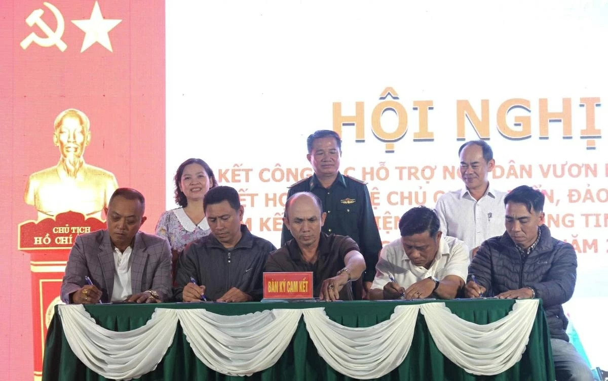 Đà Nẵng: Gần 500 tàu cá ký cam kết chống khai thác IUU