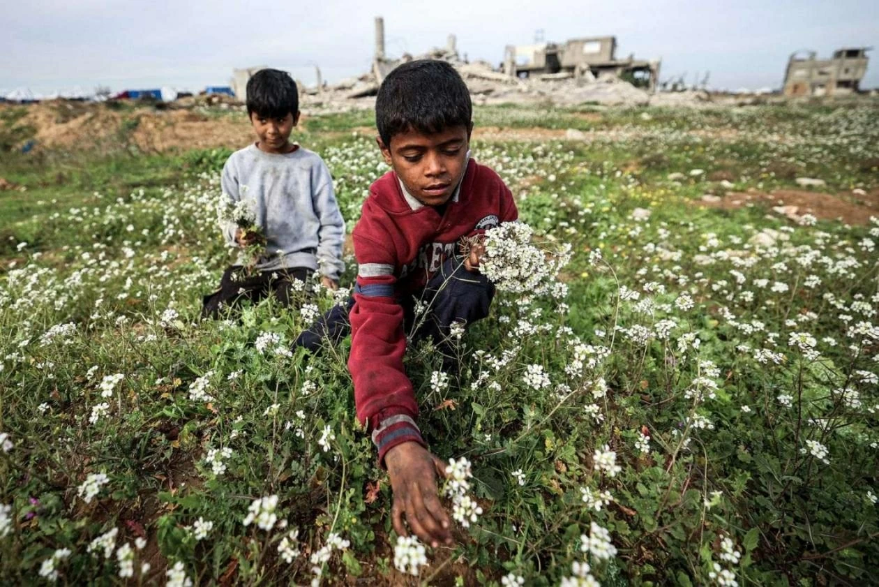 Ảnh ấn tượng: Thủ tướng Anh thăm Trung Quốc sau 8 năm, EU-Ấn Độ ký thỏa thuận lịch sử, Iran tuyên bố 'giáng đòn mạnh vào bất cứ ai tấn công'