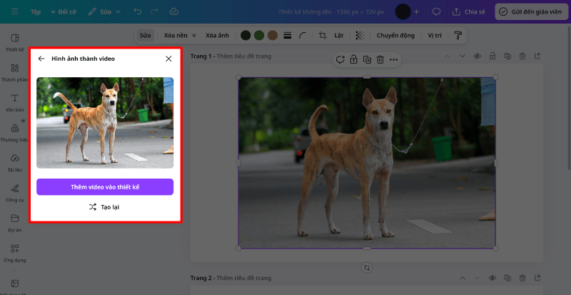 Khi video được tạo xong, thêm vào thiết kế, căn chỉnh khung hình.