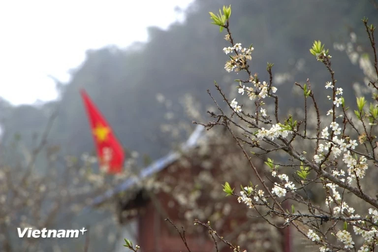 Bảo đảm các điều kiện cần thiết, nhân dân vui Xuân, đón Tết Nguyên đán Bính Ngọ 20266