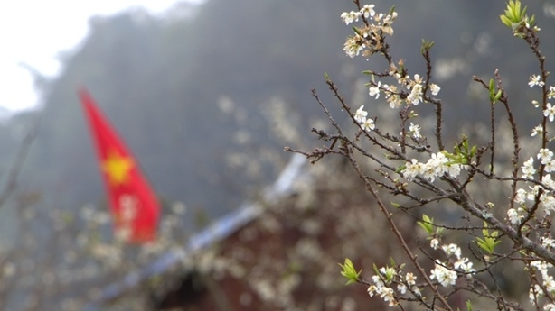 Thủ tướng ký công điện đôn đốc triển khai nhiệm vụ phục vụ nhân dân đón Tết Nguyên đán Bính Ngọ 2026