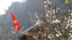 Thủ tướng ký công điện đôn đốc triển khai nhiệm vụ phục vụ nhân dân đón Tết Nguyên đán Bính Ngọ 2026