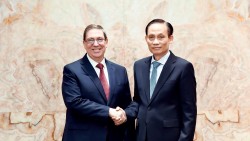 Bộ trưởng Ngoại giao Lê Hoài Trung hội đàm với Đặc phái viên Đảng Cộng sản Nhà nước Cuba