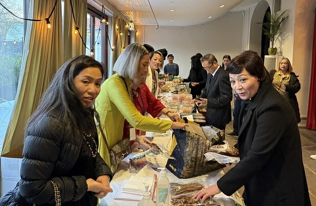 Xuân Quê hương 2026 tại Malmö gắn kết cộng đồng, lan tỏa văn hóa Việt Xuân Quê hương 2026 tại Malmö gắn kết cộng đồng, lan tỏa văn hóa Việt