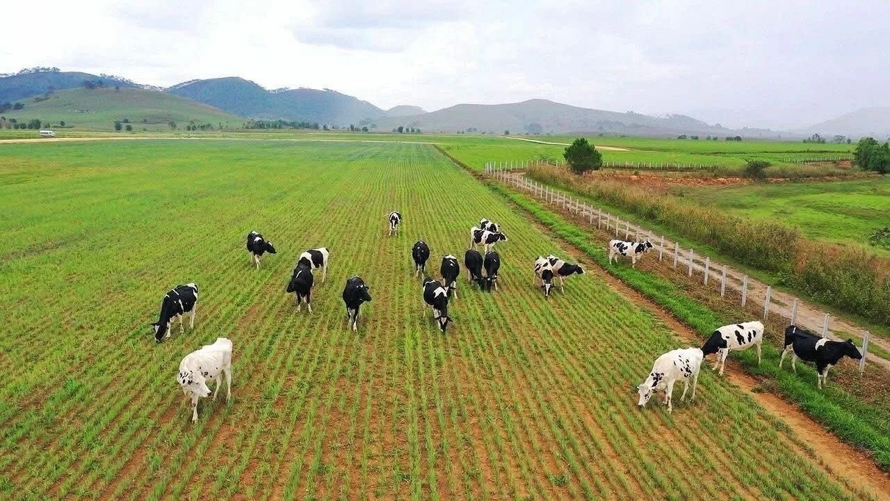 Việt Nam-Lào