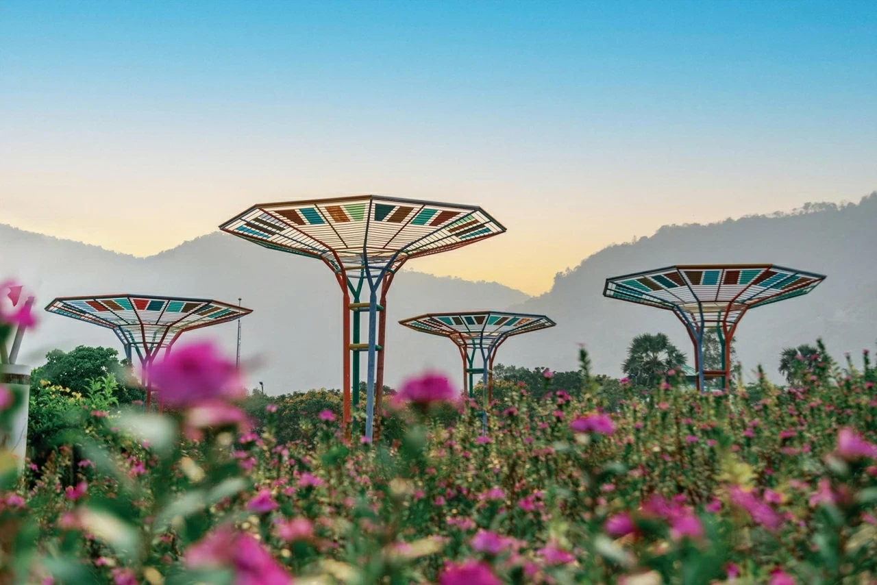 Những cánh hoa vươn mình đón xuân Những cánh hoa vươn mình đón xuân