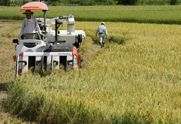 Xuất khẩu nông sản của Nhật Bản đạt kỷ lục mới năm thứ 13 liên tiếp