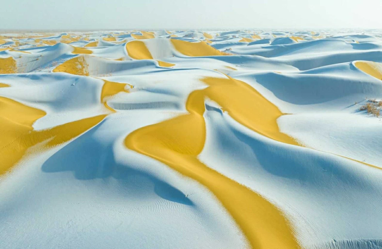 Ảnh ấn tượng: Tổng thống Nga nhắc về ngày Lập Xuân, Triều Tiên chuẩn bị cho Đại hội Đảng, Mỹ thành lập một kho dự trữ khoáng sản thiết yếu