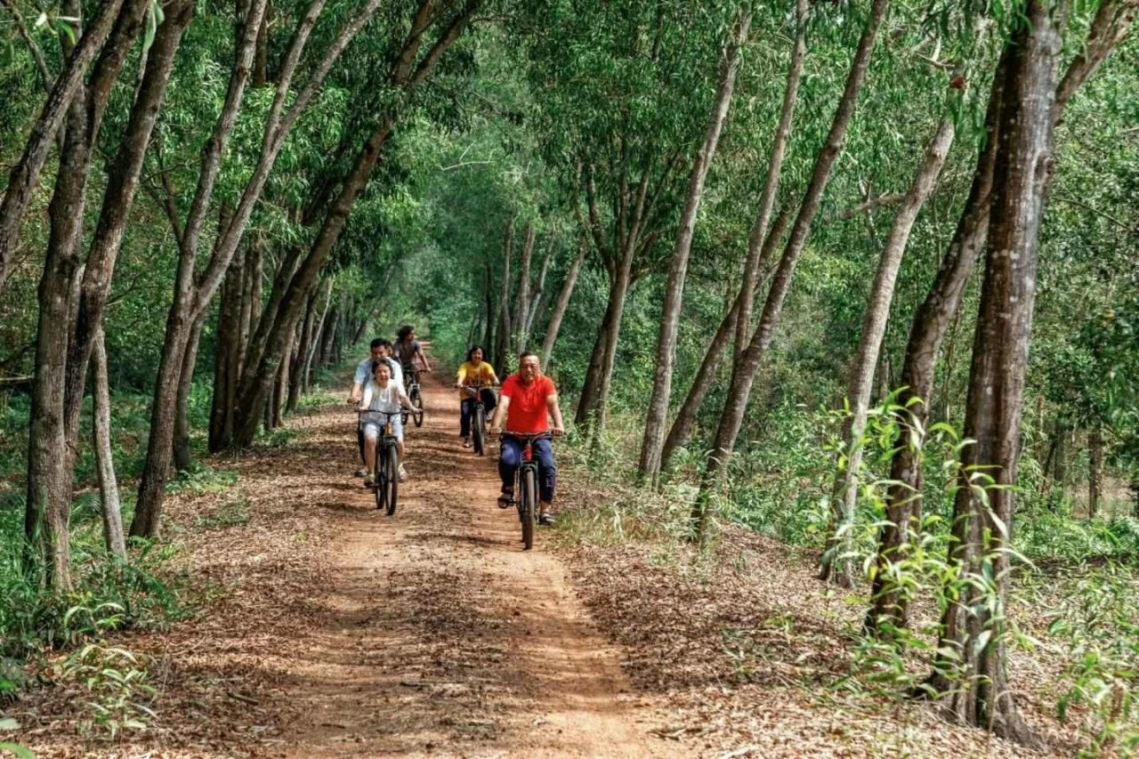 Thong dong quanh đường mòn