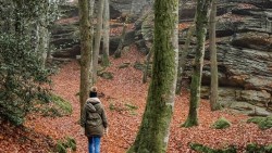 Đi bộ đường dài  tại Pháp là hoạt động thể chất, thể thao được yêu thích nhất tại Pháp