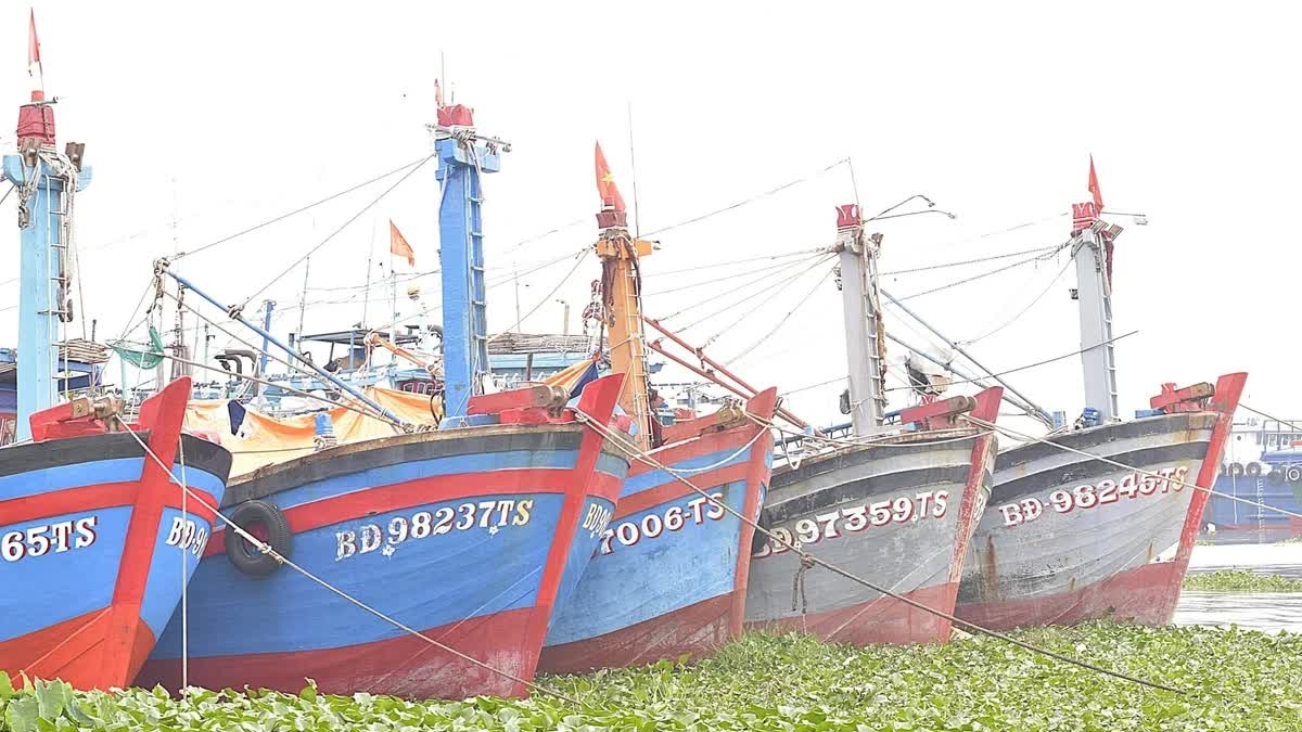 Đồng Tháp cơ cấu lại đội tàu khai thác thủy sản theo hướng bền vững