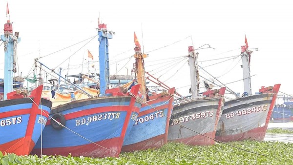 Đồng Tháp cơ cấu lại đội tàu khai thác thủy sản theo hướng bền vững