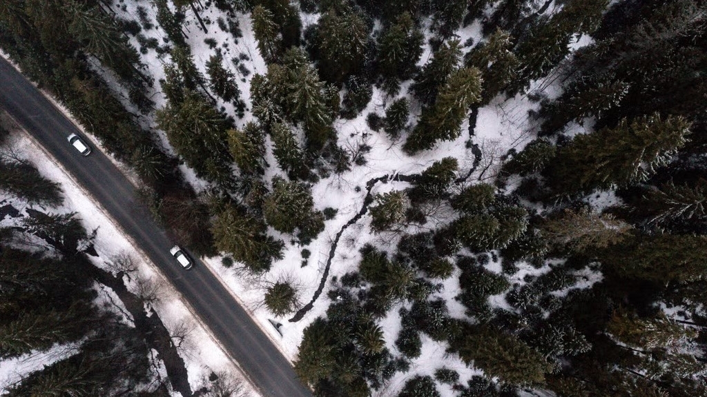 Hơn 150 quốc gia 'gióng hồi chuông' cảnh báo: Nỗi 'ám ảnh' về tăng trưởng đang hủy hoại đa dạng sinh học