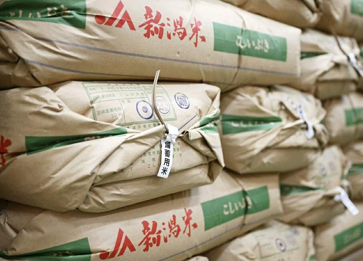 Nhật Bản tìm hướng đi cho mục tiêu tăng xuất khẩu gạo