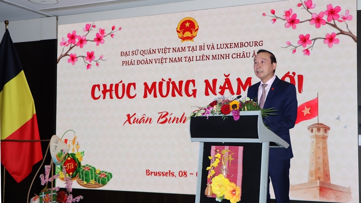 Tết cộng đồng Việt Nam mừng xuân Bính Ngọ 2026 tại Bỉ