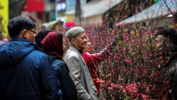 Tết trong nhịp sống hiện đại