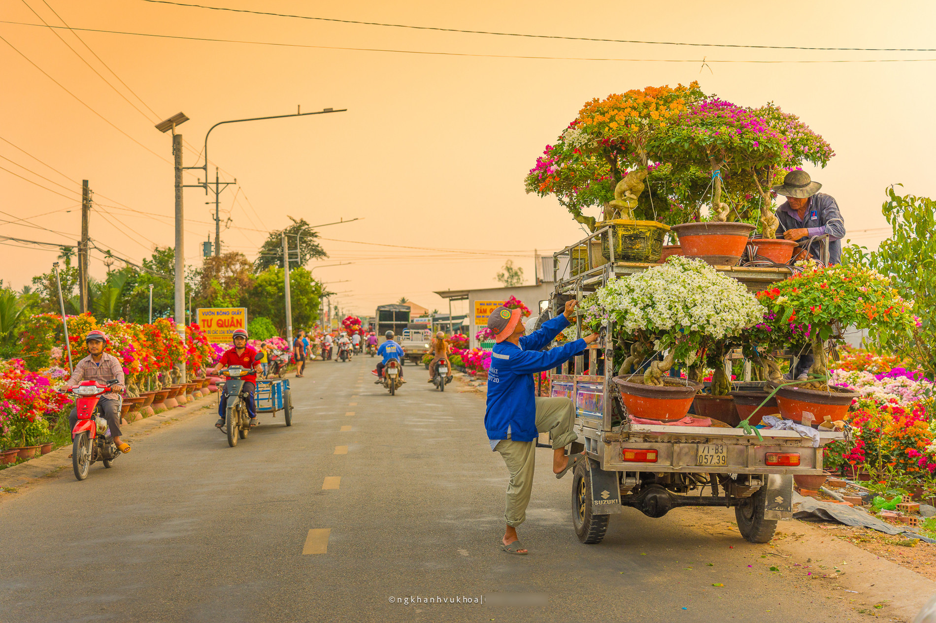 Làng hoa giấy Phú Sơn: Điểm check-in hấp dẫn dịp Tết ở Vĩnh Long làng hoa giấy vĩnh long 5.jpg