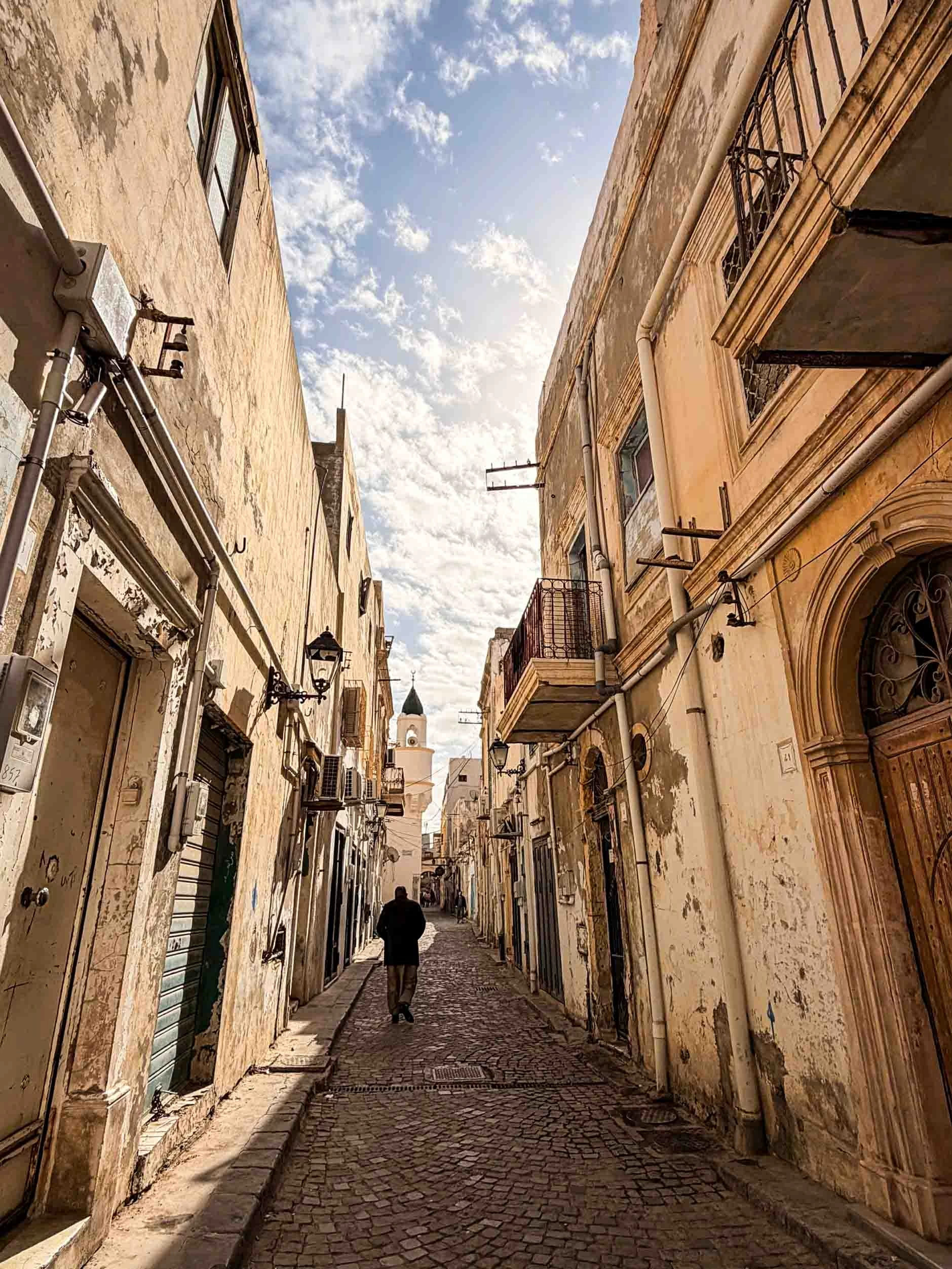 Lần đầu trình Thư uỷ nhiệm tại Libya – Ký ức ngoại giao