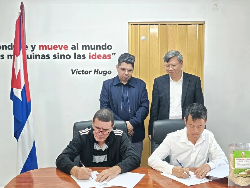 Bàn giao 250 tấn gạo do doanh nghiệp Việt Nam sản xuất tại tỉnh Pinar del Rio, góp phần bảo đảm an ninh lương thực cho Cuba