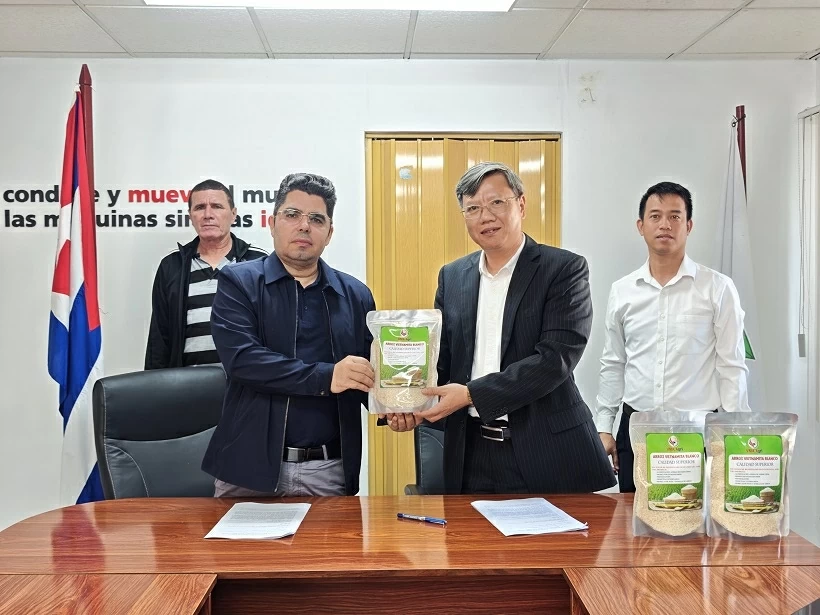 Bàn giao 250 tấn gạo do doanh nghiệp Việt Nam sản xuất tại tỉnh Pinar del Rio, góp phần bảo đảm an ninh lương thực cho Cuba Bàn giao 250 tấn gạo do doanh nghiệp Việt Nam sản xuất tại tỉnh Pinar del Rio, góp phần bảo đảm an ninh lương thực cho Cuba