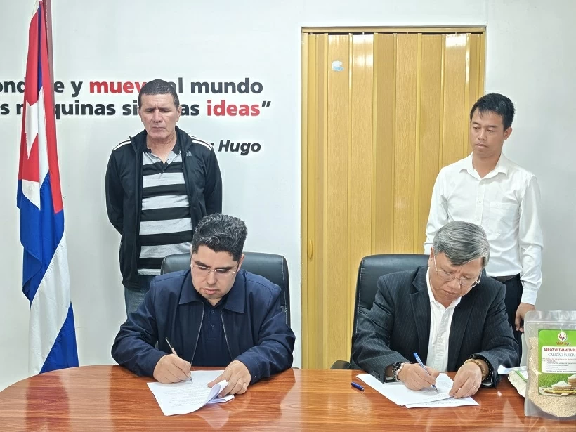 Bàn giao 250 tấn gạo do doanh nghiệp Việt Nam sản xuất tại tỉnh Pinar del Rio, góp phần bảo đảm an ninh lương thực cho Cuba