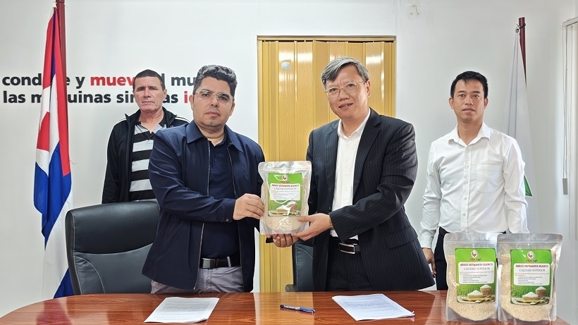 Bàn giao 250 tấn gạo do doanh nghiệp Việt Nam sản xuất, góp phần bảo đảm an ninh lương thực cho Cuba
