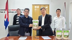 Bàn giao 250 tấn gạo do doanh nghiệp Việt Nam sản xuất, góp phần bảo đảm an ninh lương thực cho Cuba