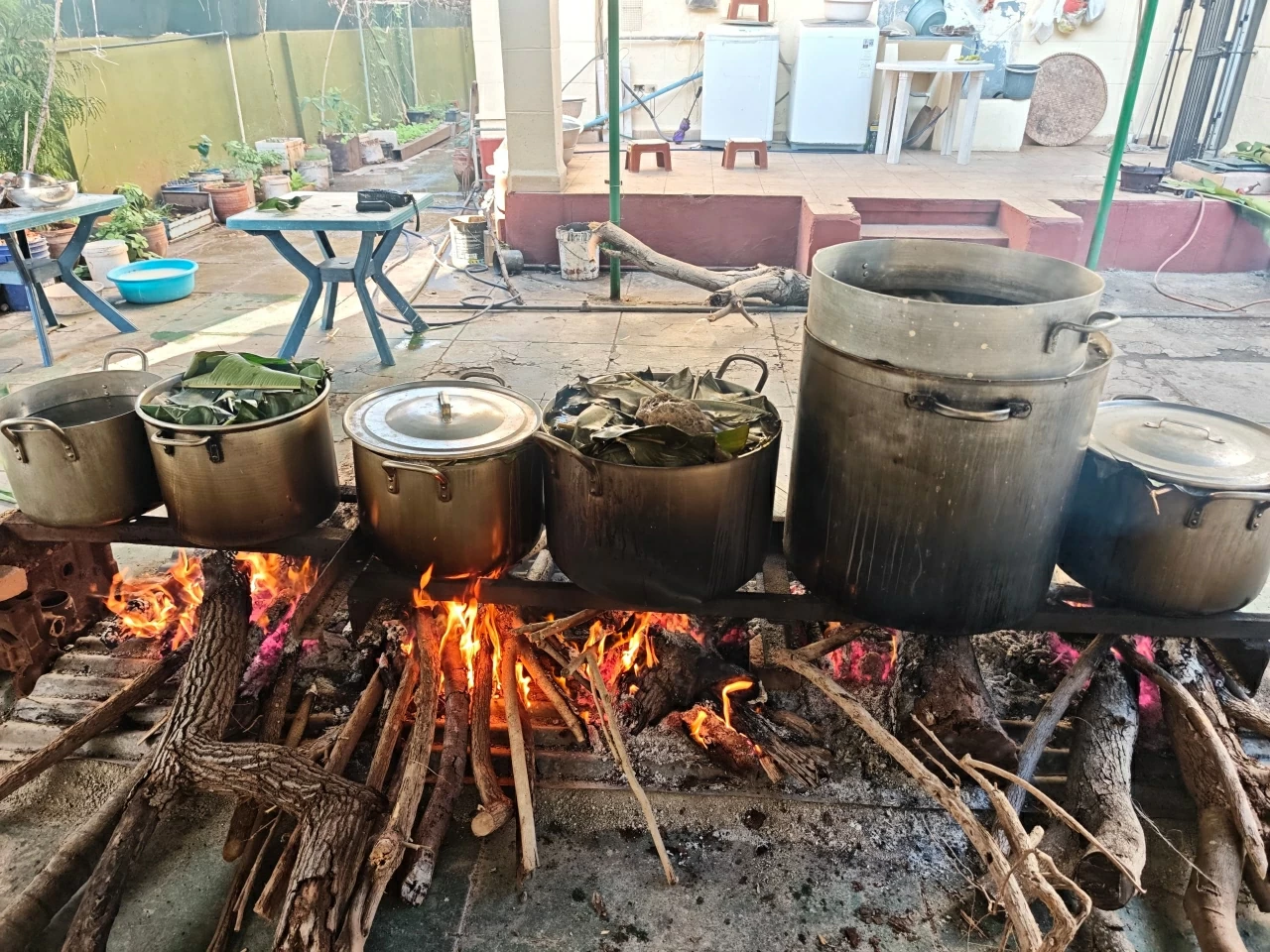 Ấm áp Tết cộng đồng Xuân Bính Ngọ tại Cuba