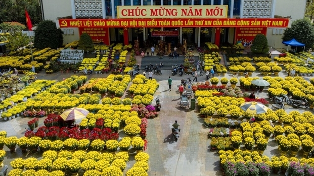 Chợ hoa Xuân Huế: Nơi Tết chạm ngõ từng mái nhà