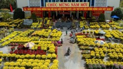 Chợ hoa Xuân Huế: Nơi Tết chạm ngõ từng mái nhà