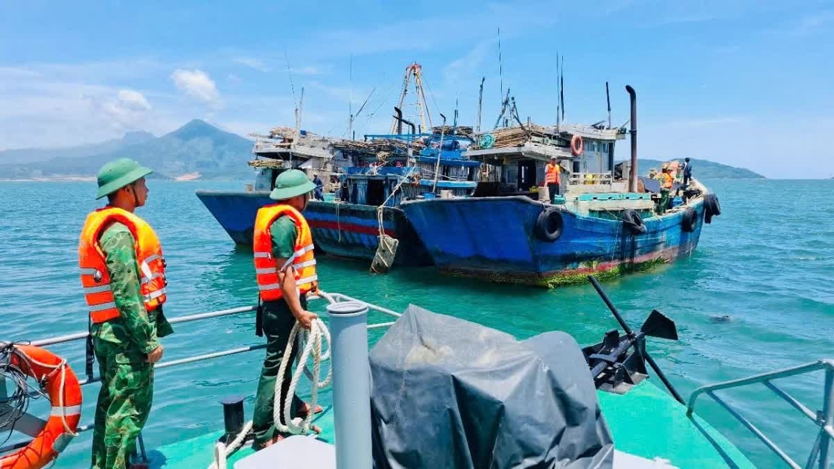 Đà Nẵng thông qua chính sách hỗ trợ phát triển thủy sản, nỗ lực khắc phục ‘thẻ vàng’ IUU