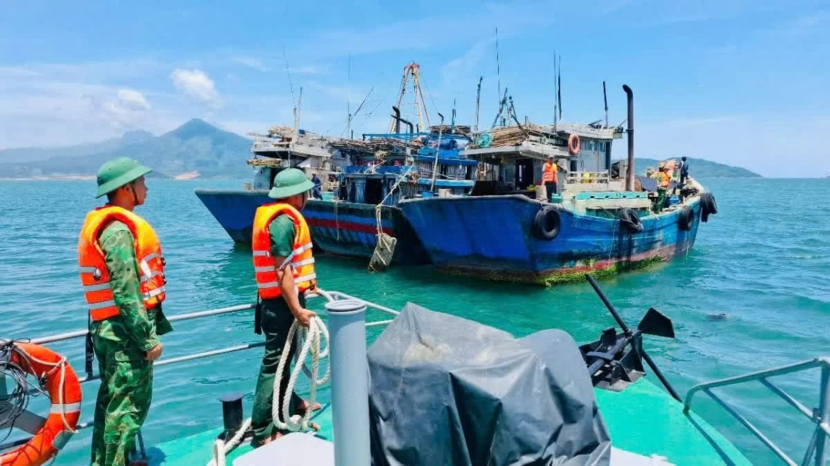 Đà Nẵng thông qua chính sách hỗ trợ phát triển thủy sản, nỗ lực khắc phục ‘thẻ vàng’ IUU Đà Nẵng thông qua chính sách hỗ trợ phát triển thủy sản, nỗ lực khắc phục ‘thẻ vàng’ IUU