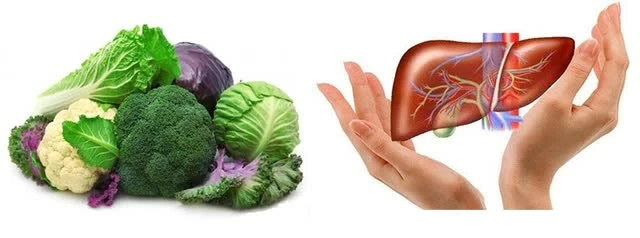 Giải cứu lá gan ngày Tết: Chế độ ăn hỗ trợ thải độc gan cho nam giới thường xuyên uống rượu bia