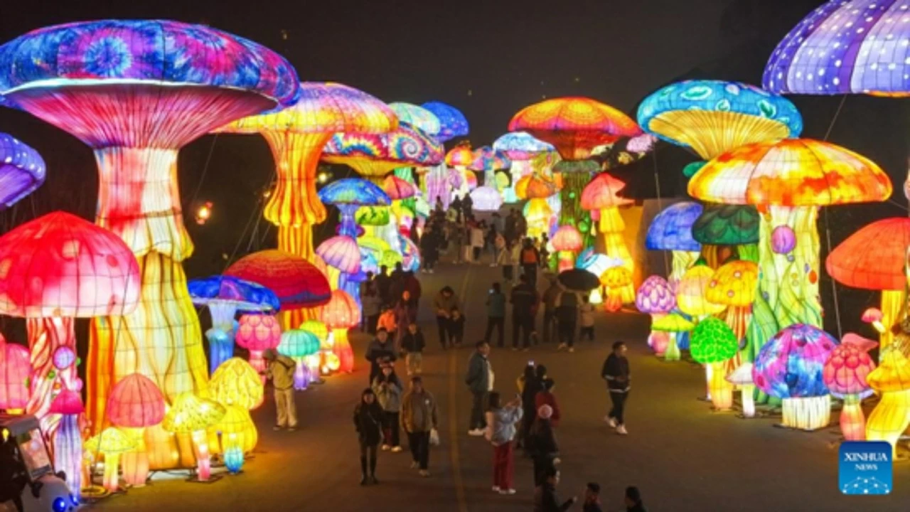 Khách tham quan thích thú trước các mô hình lồng đèn hình cây nấm tại hội đèn lòng ở thành phố Hưng Nghĩa, tỉnh Quý Châu (Trung Quốc). (Nguồn: Tân Hoa xã)