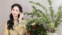 Hoa hậu Đặng Thu Thảo trang hoàng nhiều loại cây, hoa hút tài lộc ngày Tết